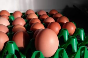 26 nov - super eieren van onze kippen