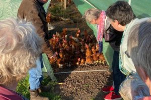 29 apr - even bij de kippen kijken tijdens de boerenborrel