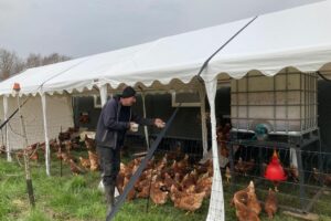 6 april - onze nieuwe kippen hebben een mooie nieuwe tent gekregen met meer plek