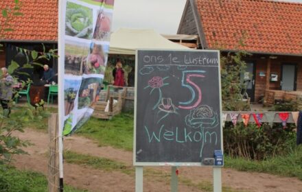 Lustrum feestterrein